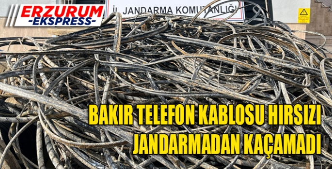 Telefon kablolarını çalan şahıs jandarmadan kaçamadı