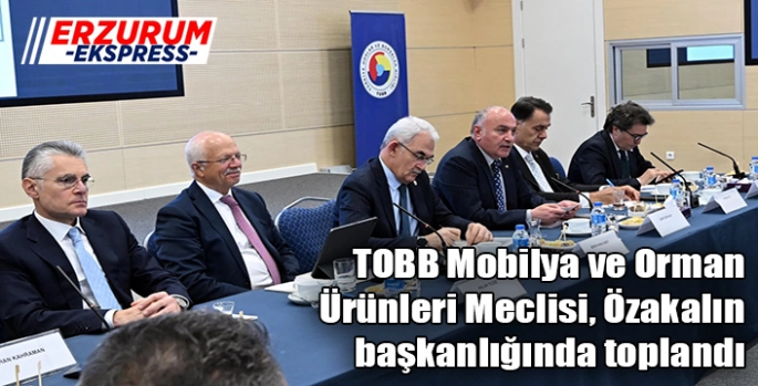 TOBB Mobilya ve Orman Ürünleri Meclisi, Özakalın başkanlığında toplandı