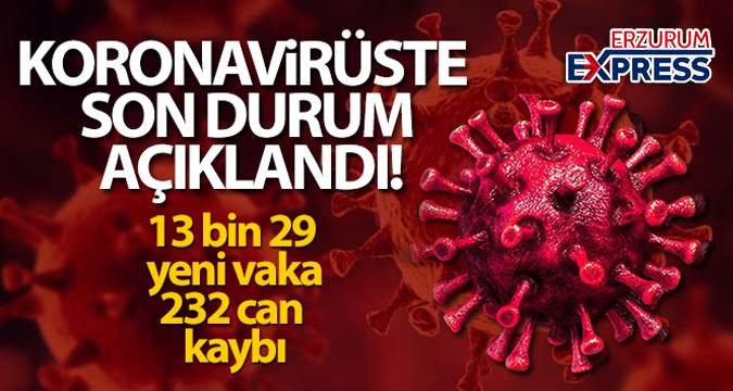 Türkiye'de son 24 saatte 13.029 koronavirüs vakası tespit edildi