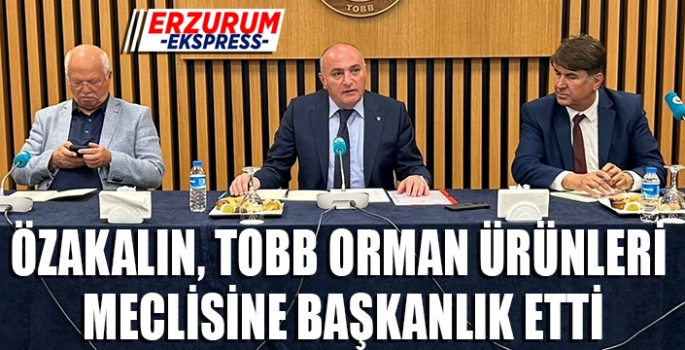 Türkiye Orman Ürünleri Meclisi, Özakalın Başkanlığında Toplandı