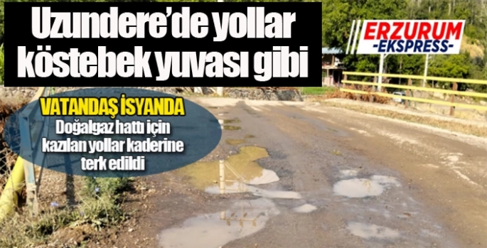 Uzundere'de yollar köstebek yuvası gibi...