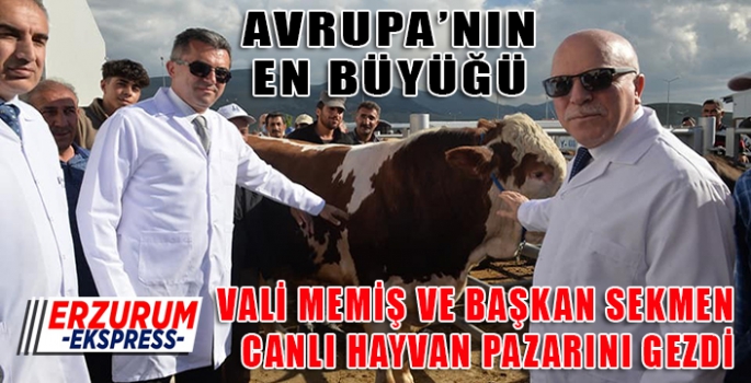 Vali Memiş ve Başkan Sekmen Avrupa'nın en büyük canlı hayvan pazarında incelemelerde bulundu