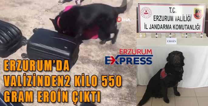 Valizinden 2 kilo 550 gram uyuşturucu maddesi çıkan şahıs tutuklandı