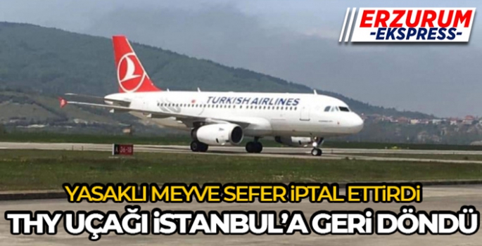 Yasak meyve koku detektörlerini harekete geçirdi, THY uçağı İstanbul'a geri döndü