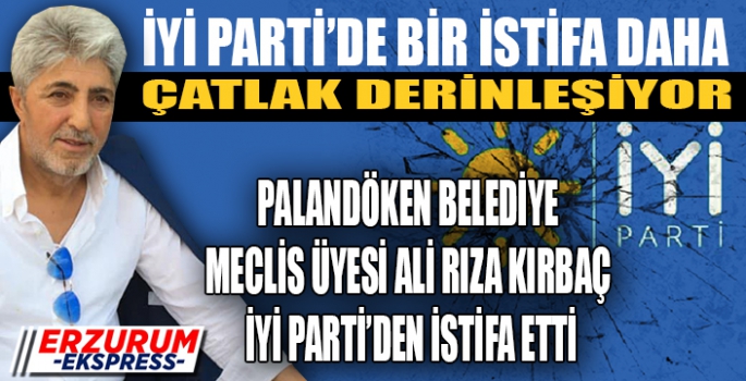 YİNE İYİ PARTİ, YİNE İSTİFA 