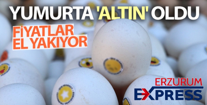 Yumurta 'altın' oldu