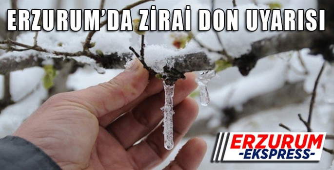 Zirai don uyarısı