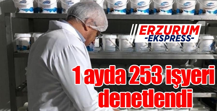 1 ayda 253 işyeri denetlendi