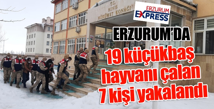 19 küçükbaş hayvanı çalan 7 kişi yakalandı