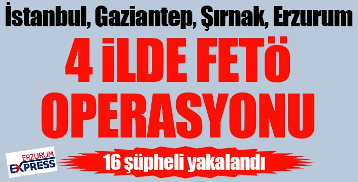 4 ilde FETÖ operasyonu: 16 gözaltı