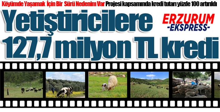690 yetiştirici desteklendi...