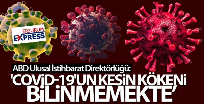 ABD Ulusal İstihbarat Direktörlüğü: 'Covid-19'un kesin kökeni şu anda bilinmemektedir'