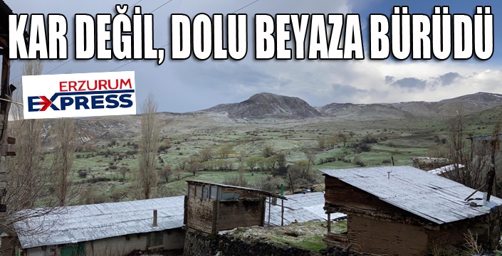 Aniden başlayan dolu köyü beyaza bürüdü