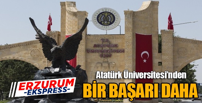 Atatürk Üniversitesi, The Impact Rankings 2022’de büyük bir başarı göstererek 17 başlıktan 16’sında yer aldı