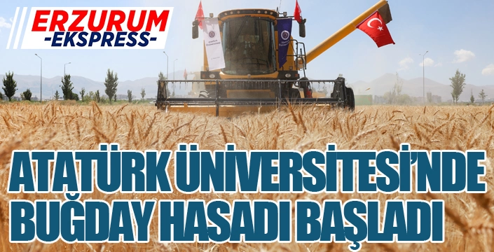ATATÜRK ÜNİVERSİTESİNDE BUĞDAY HASADI BAŞLADI