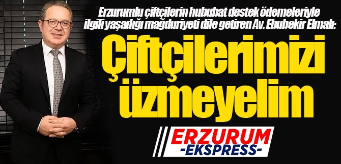 Av. Elmalı: Çiftçilerimizi üzmeyelim...