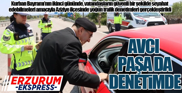 Avcı Paşa da denetimde...