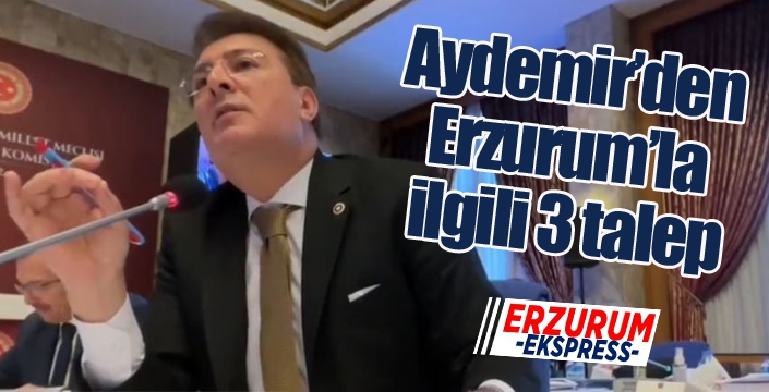 Aydemir’den Erzurum’la ilgili 3 talep