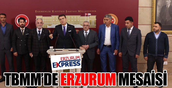 Aydemir’den TBMM’de Erzurum mesaisi