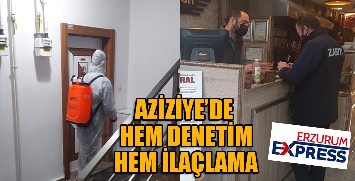 Aziziye’de denetim ve ilaçlama bir arada