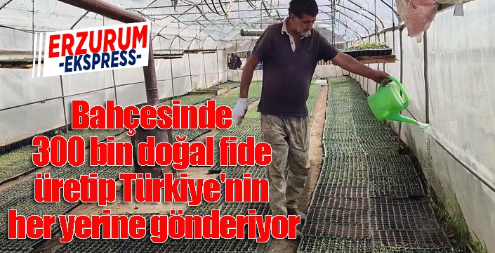 Bahçesinde 300 bin doğal fide üretip Türkiye'nin her yerine gönderiyor