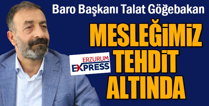 Başkan Göğebakan: “Mesleğimiz tehdit altında”