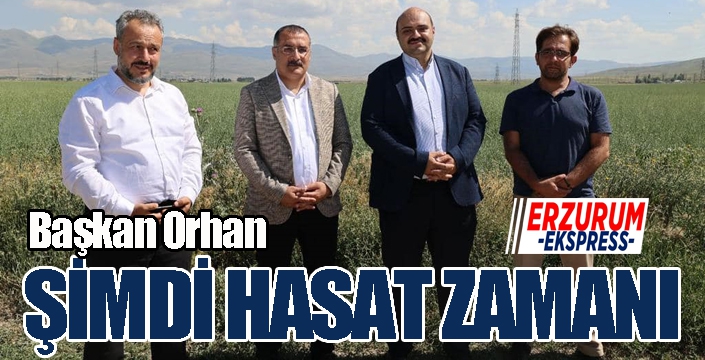 Başkan Orhan; “Şimdi hasat zamanı”