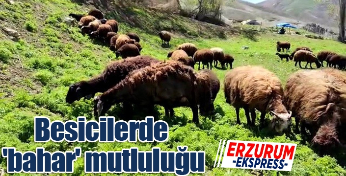 Besicilerde 'bahar' mutluluğu