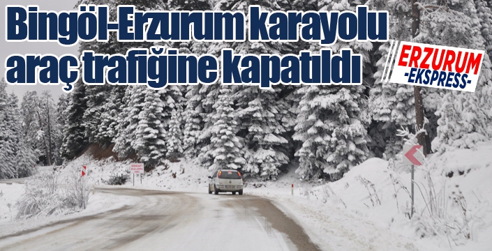 Bingöl-Erzurum karayolu araç trafiğine kapatıldı