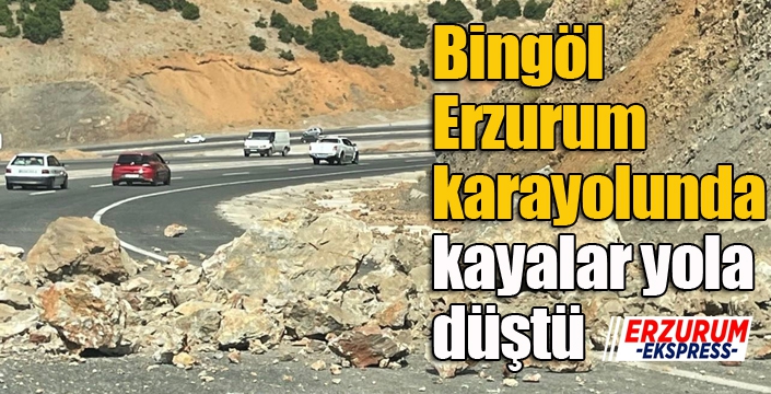 Bingöl - Erzurum karayolunda kayalar yola düştü