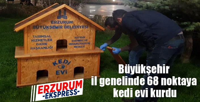 Büyükşehir il genelinde 68 noktaya kedi evi kurdu