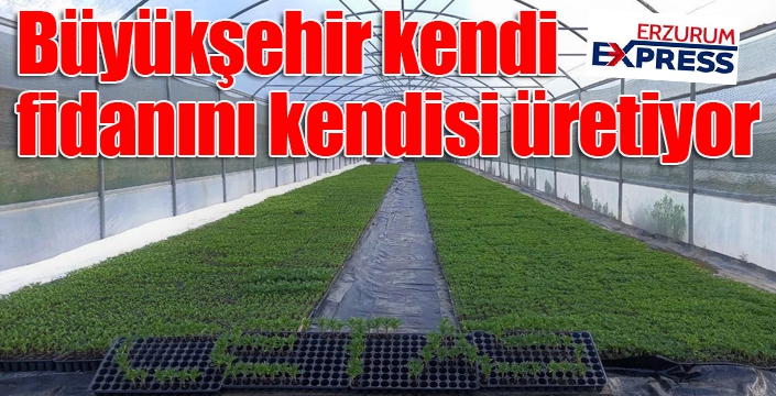 Büyükşehir kendi fidanını kendisi üretiyor