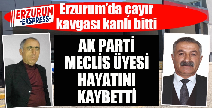 Çayır kavgası kanlı bitti, AK Partili Meclis üyesi hayatını kaybetti