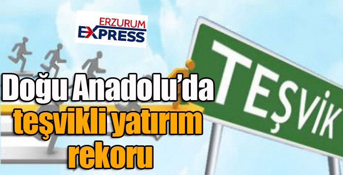 Doğu Anadolu’da teşvikli yatırım rekoru