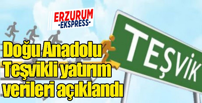 Doğu Anadolu Teşvikli yatırım verileri açıklandı