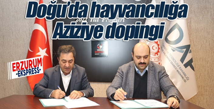 Doğu hayvancılığına Aziziye dopingi