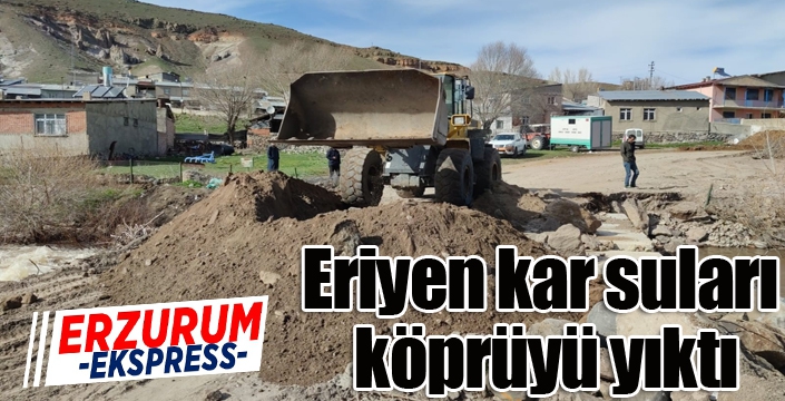 Eriyen kar suları köprüyü yıktı
