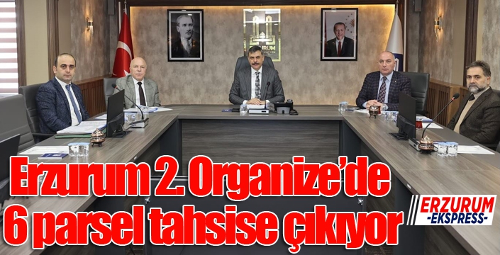 Erzurum 2. Organize’de 6 parsel tahsise çıkıyor