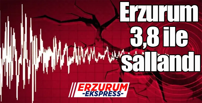 Erzurum 3,8 ile sallandı