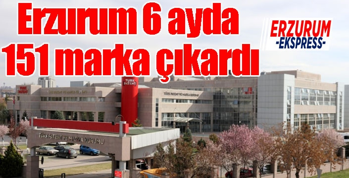 Erzurum 6 ayda 151 marka çıkardı