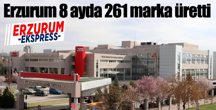Erzurum 8 ayda 261 marka üretti