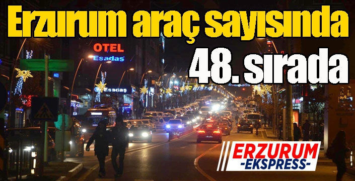 Erzurum araç sayısında 48. sırada