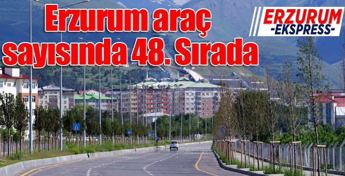 Erzurum araç sayısında 48. Sırada