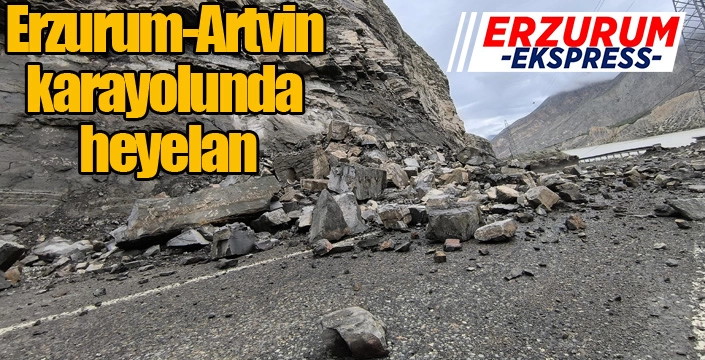 Erzurum-Artvin kara yolunda heyelan