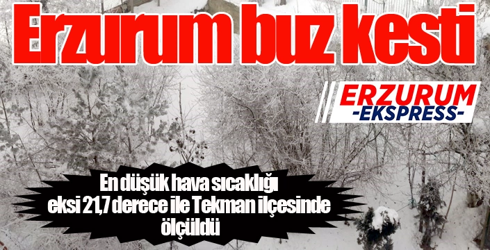 Erzurum buz kesti