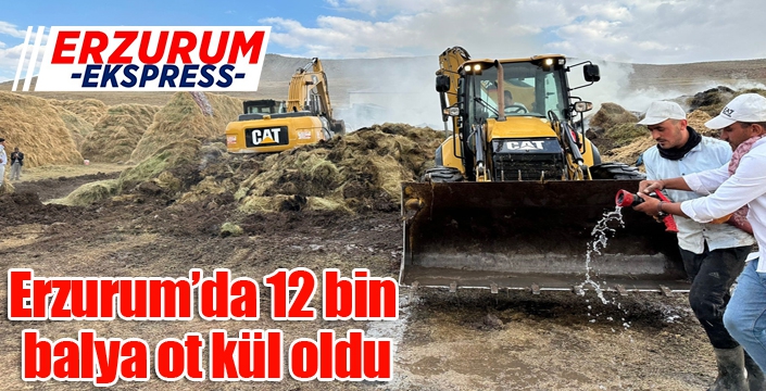 Erzurum’da 12 bin balya ot kül oldu