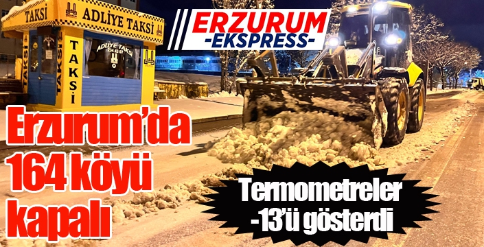Erzurum’da 164 köyü kapalı, termometreler -13’ü gösterdi
