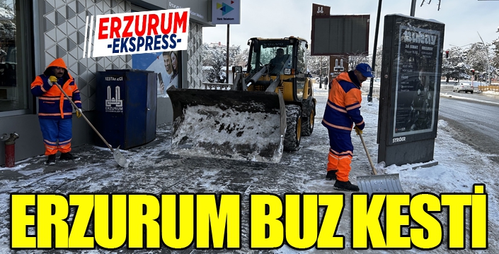 Erzurum'da 2 metrelik buz sarkıtları oluştu