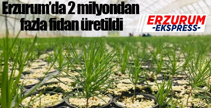 Erzurum’da 2 milyondan fazla fidan üretildi