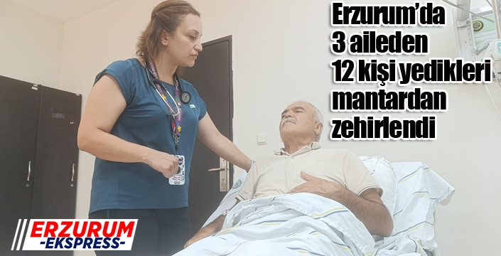 Erzurum’da 3 aileden 12 kişi yedikleri mantardan zehirlendi